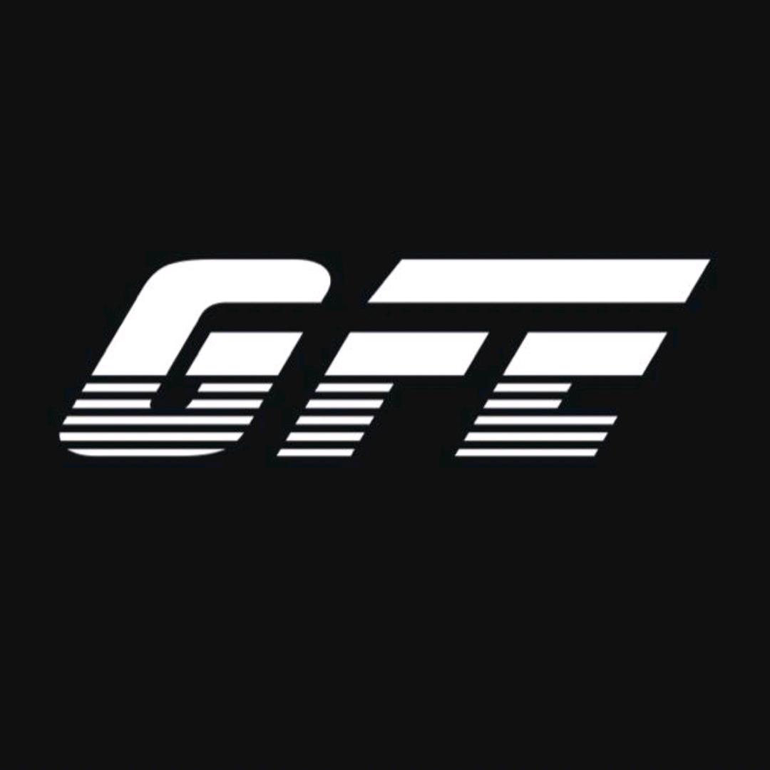 GFE前减震器