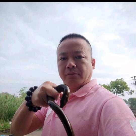 力力野猫