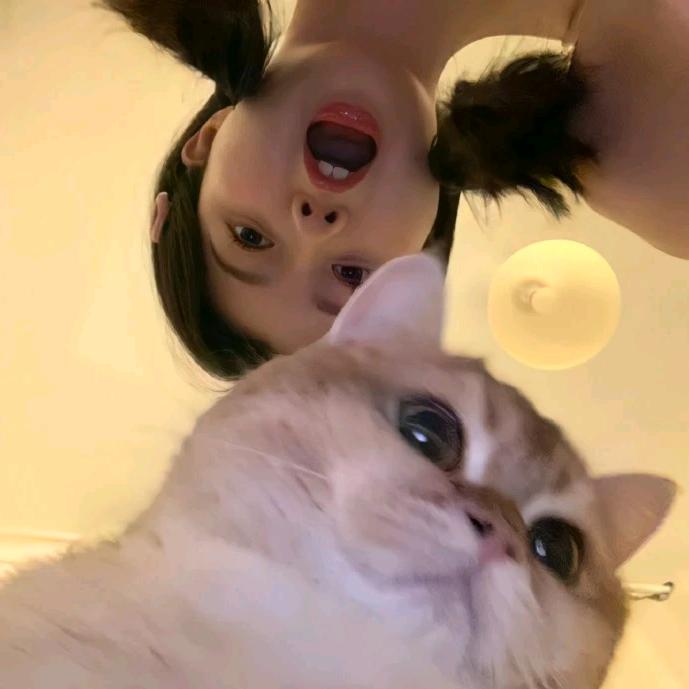 棵棵