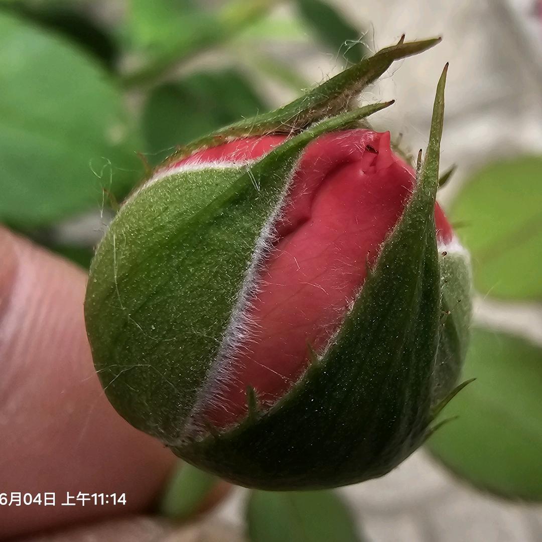 二虎室内装修工程队