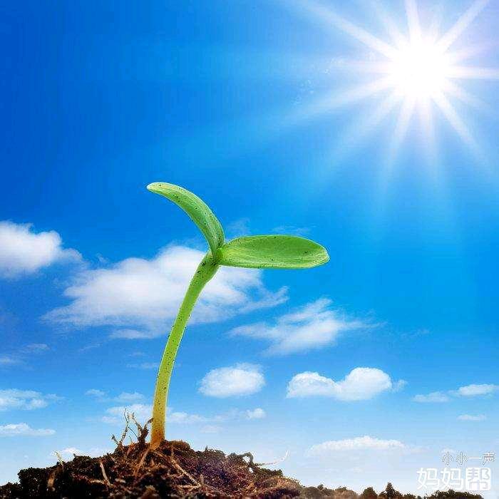 舟信化工