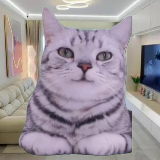 猫meme小剧场