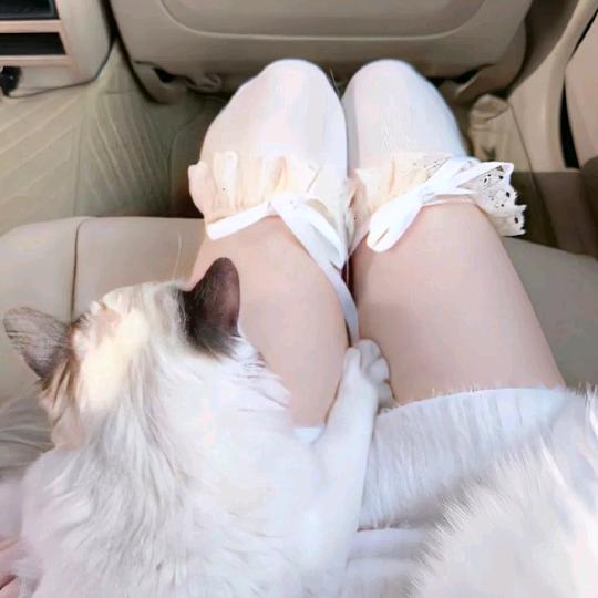 你们的快乐吵到我了