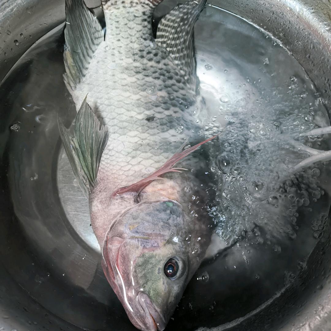 沉迷钓鱼