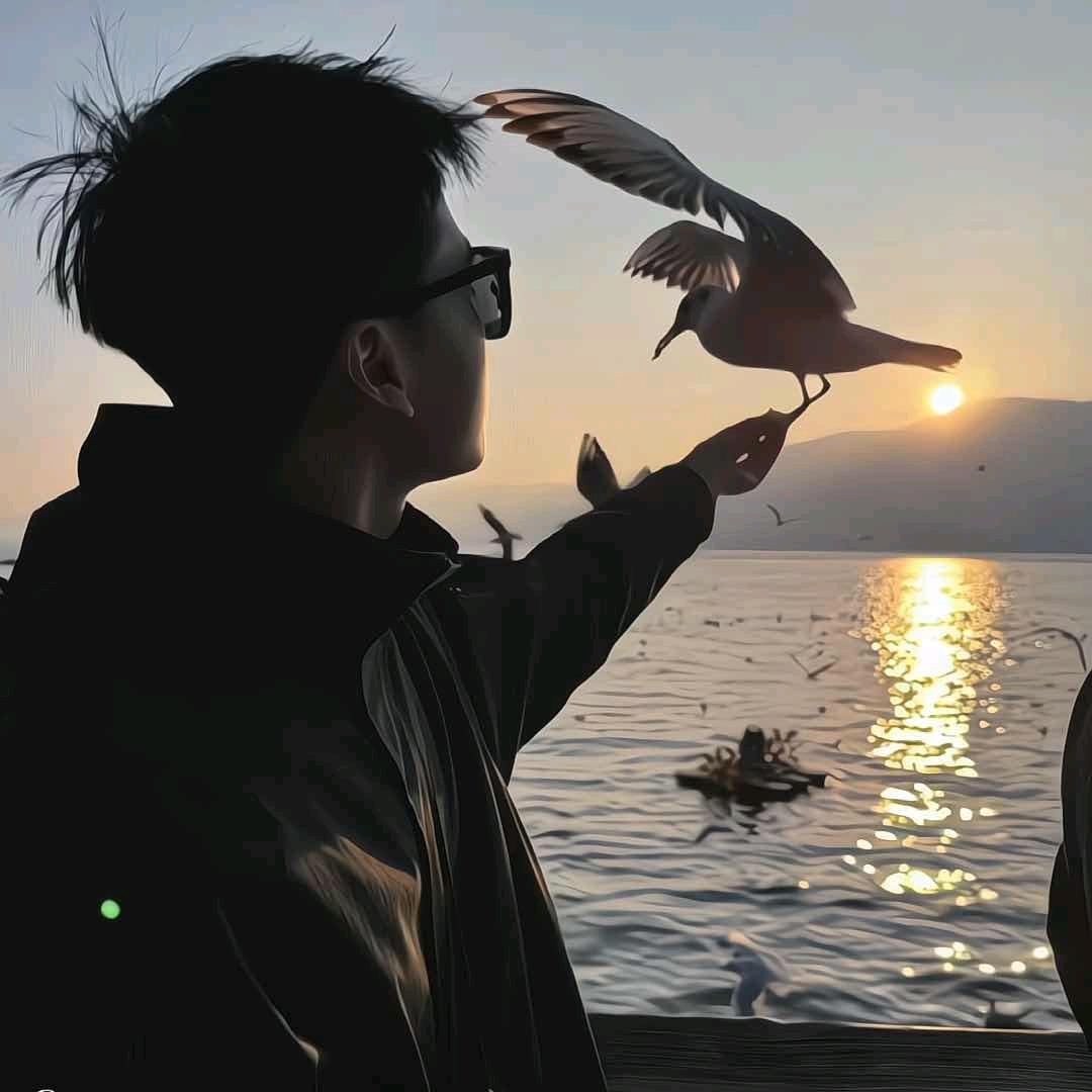林深见鹿🦌