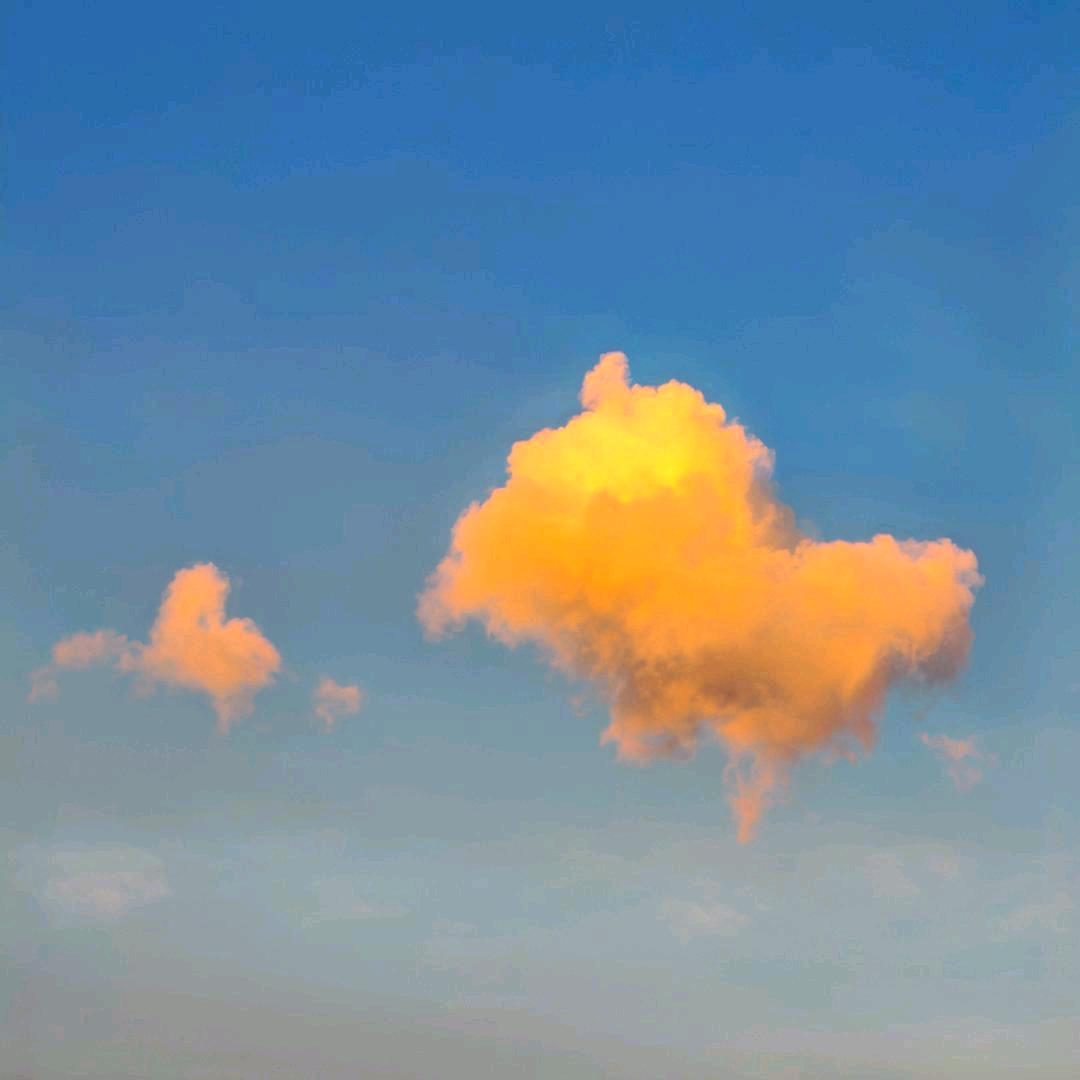 ℉`七秒鱼°