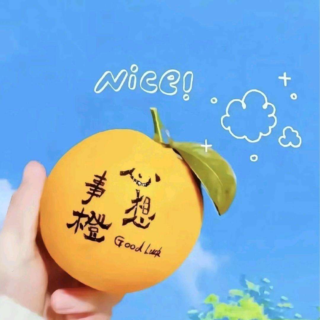 🐮 春暖🌸开