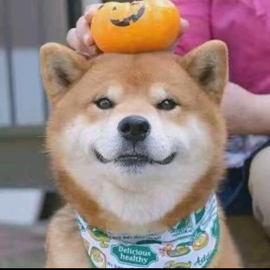 李尧(以开学)破2000粉丝