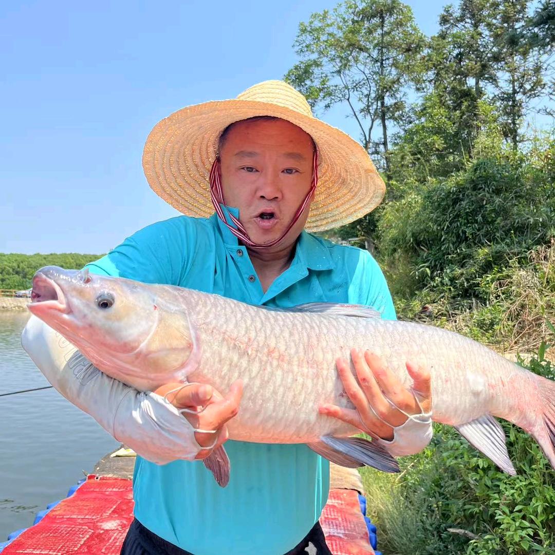 钓不上来的地方叫我