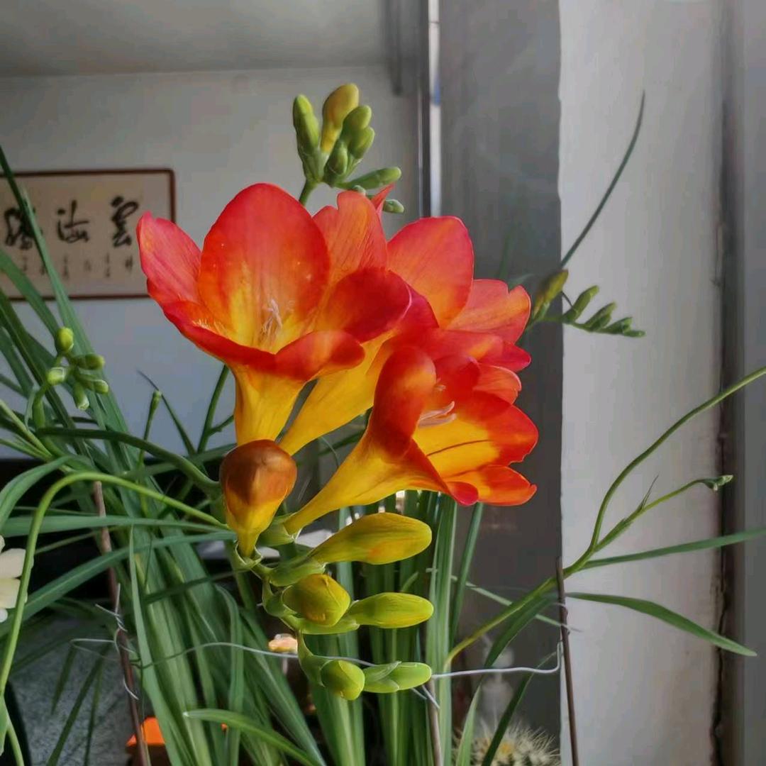 一路阳光