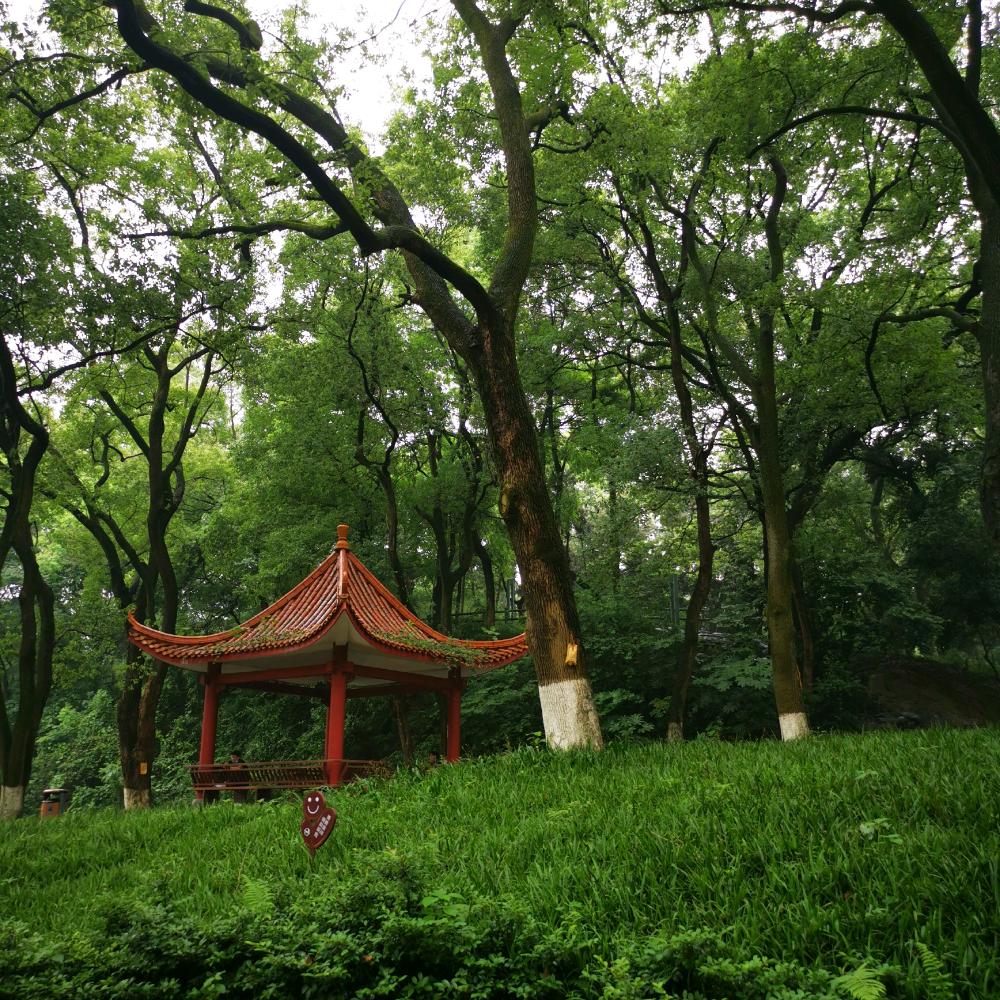 乘风破浪