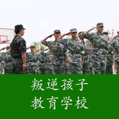 (素质教育)杨老师