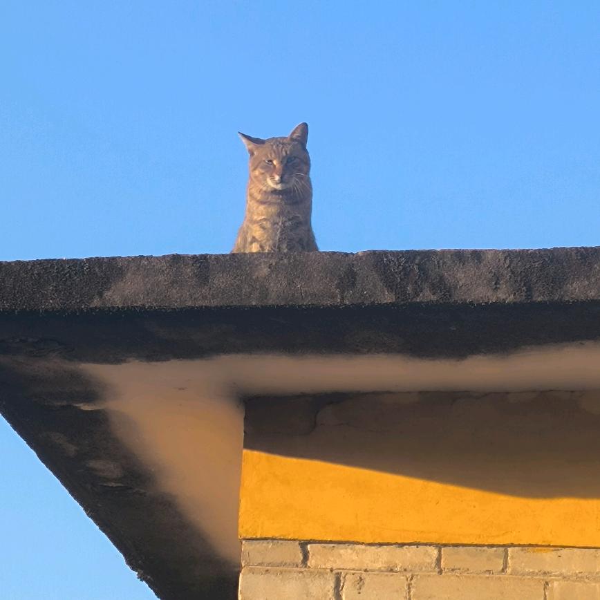 向春山（互关）