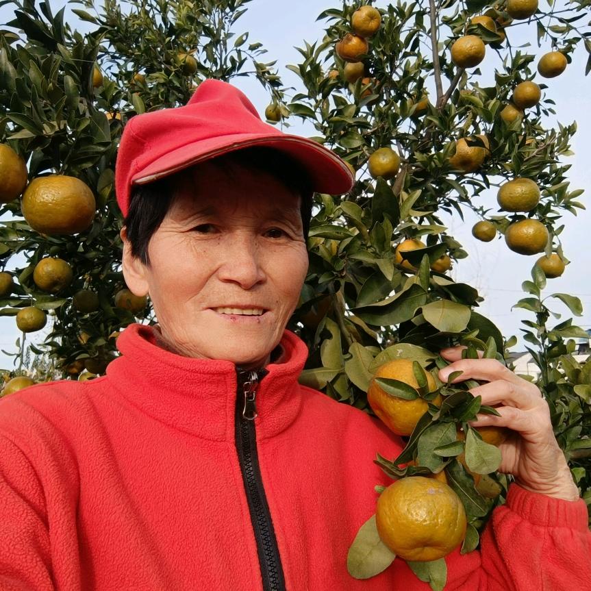 农村汤姐