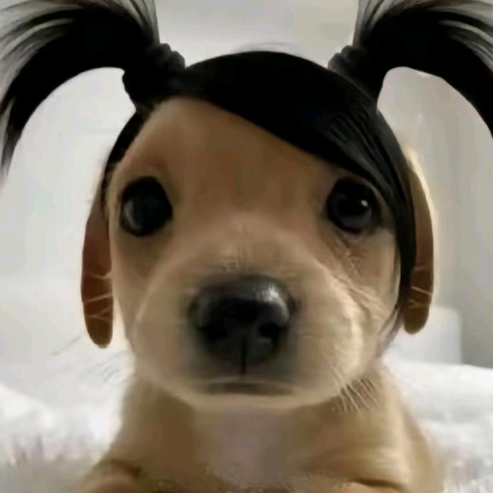 聆听