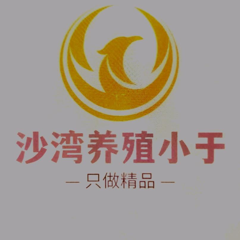 沙湾养殖💖《小于》🐠