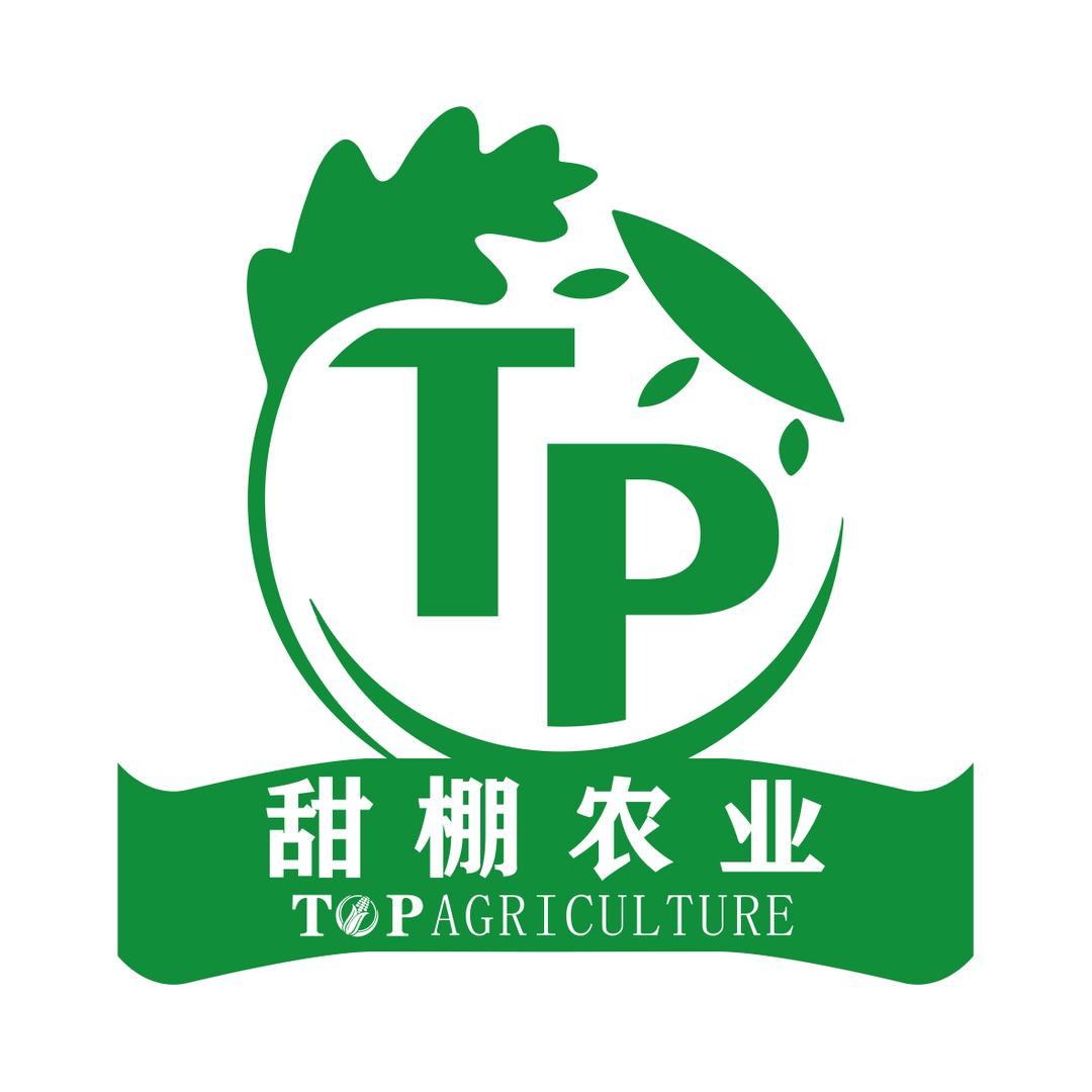 甜棚农业