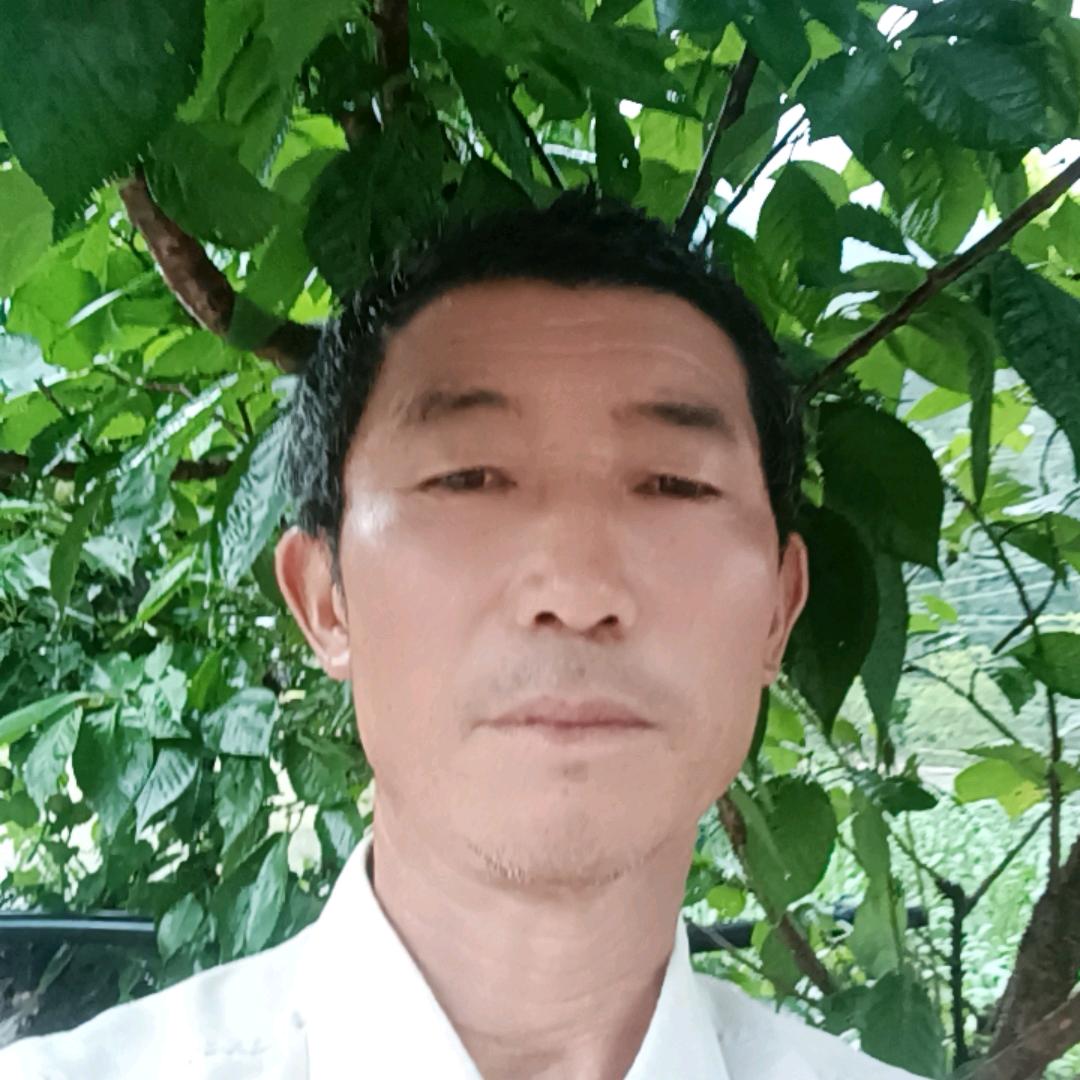 王加文