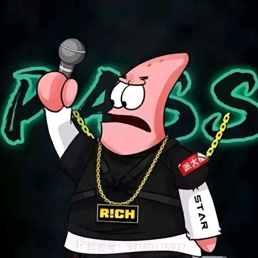 我派大星就是艺术