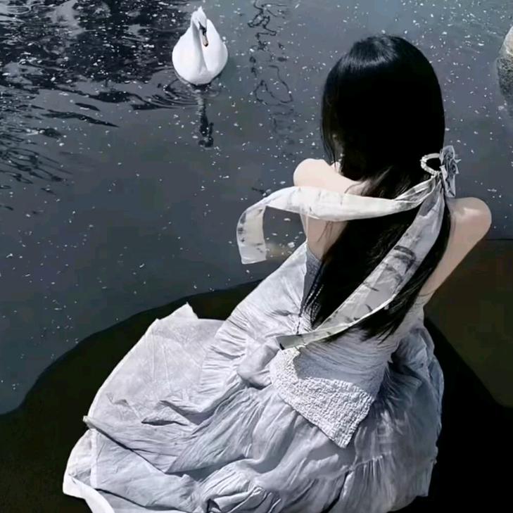 不离不弃