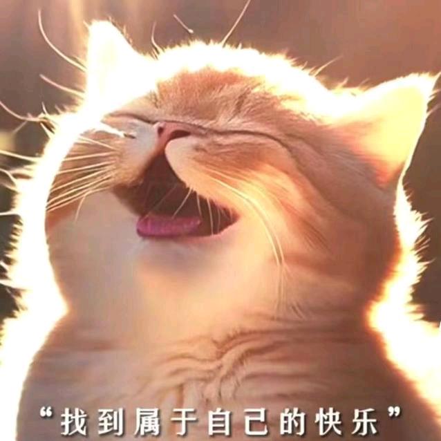 用户4123831922738抖音小游戏