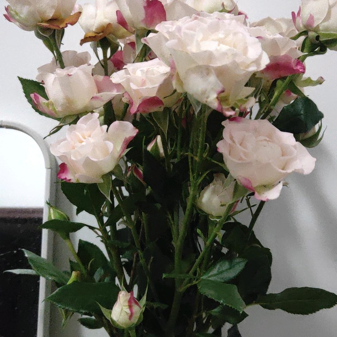 小花花