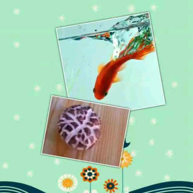 钟哥