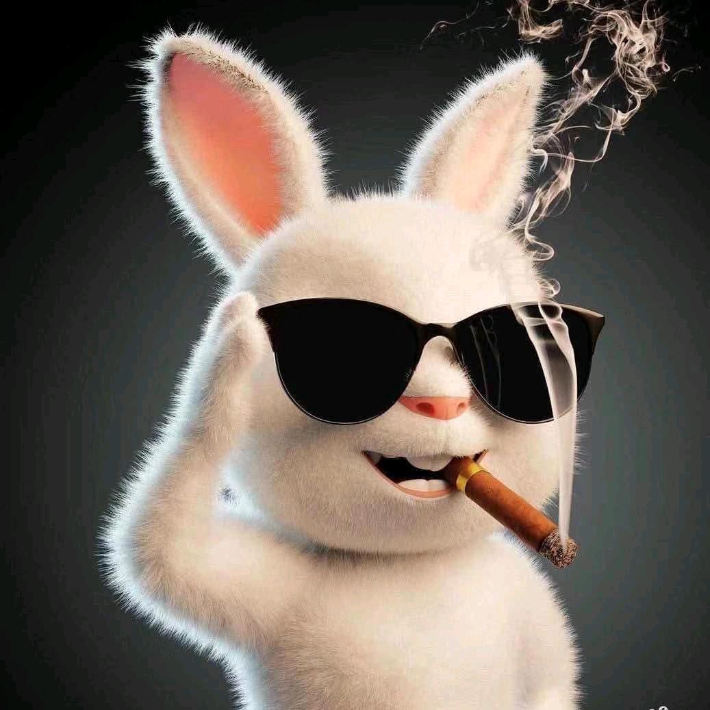 如初√一路向阳