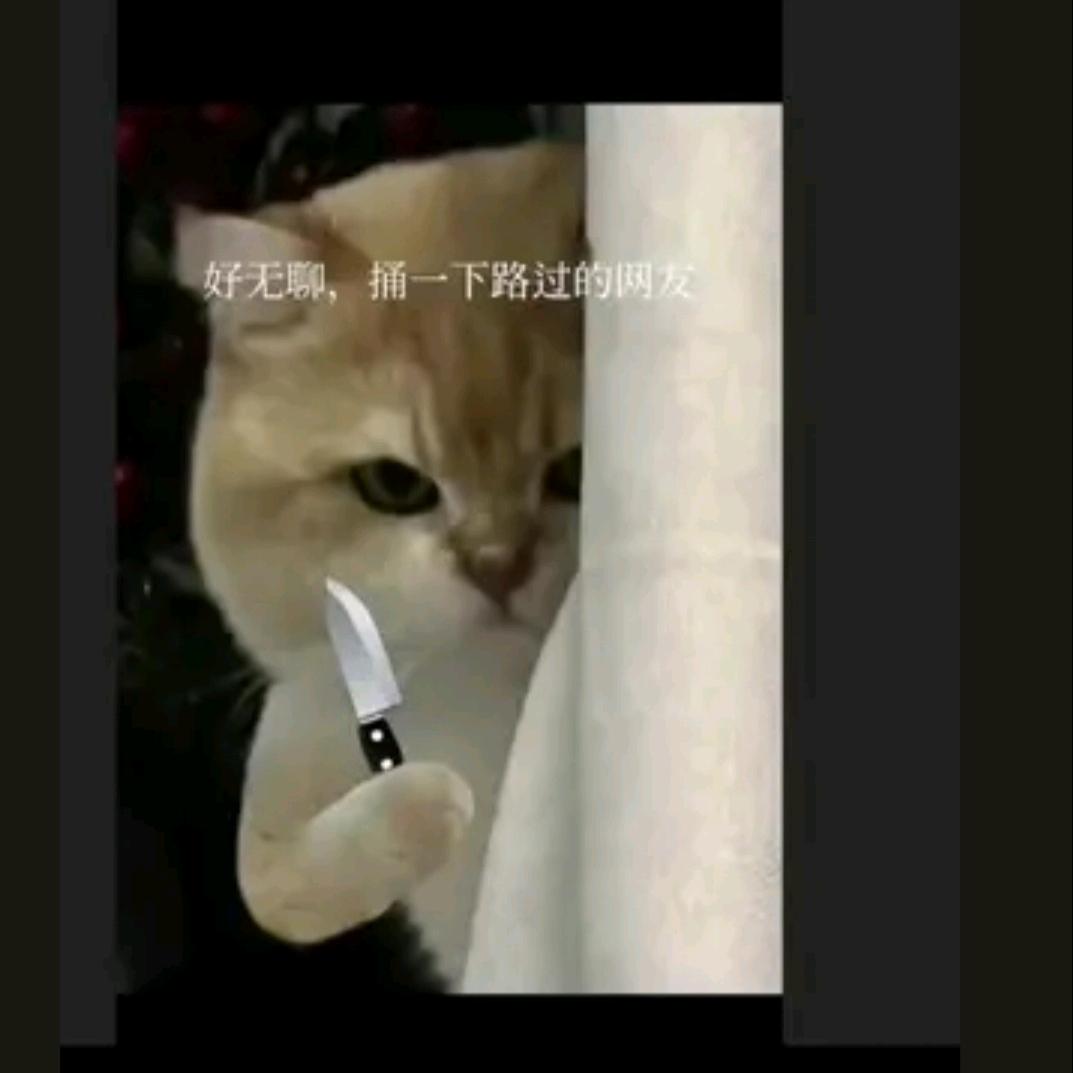 欢欢潮流小店铺