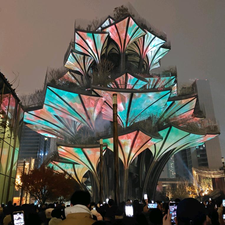 天指道小严