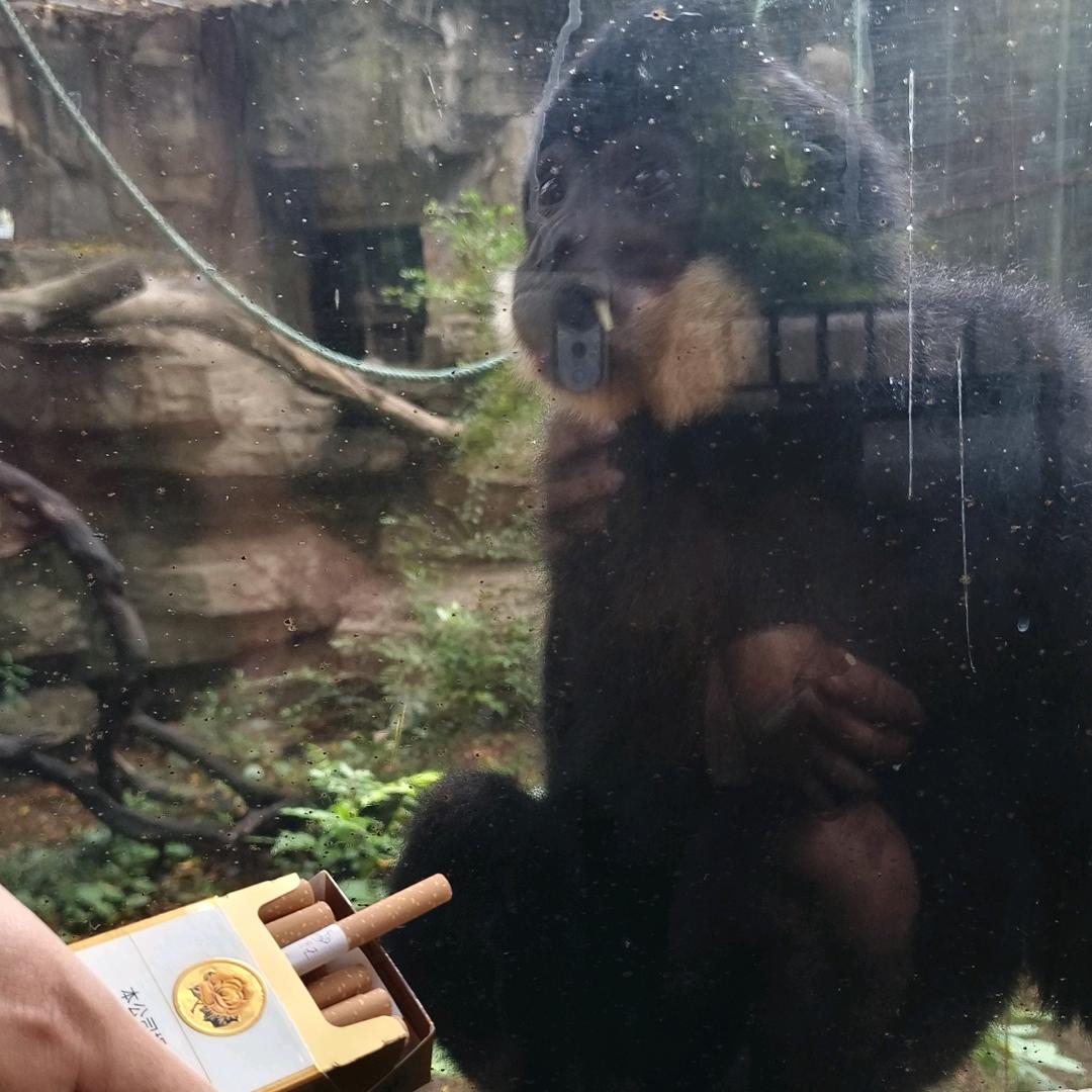 （三角洲行动）重生之每天赚100w