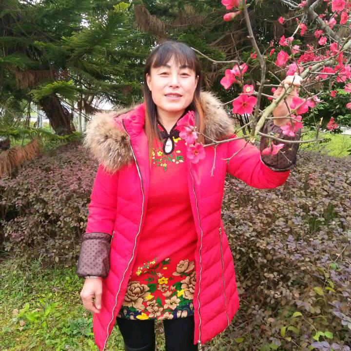 陪你一起看草原975