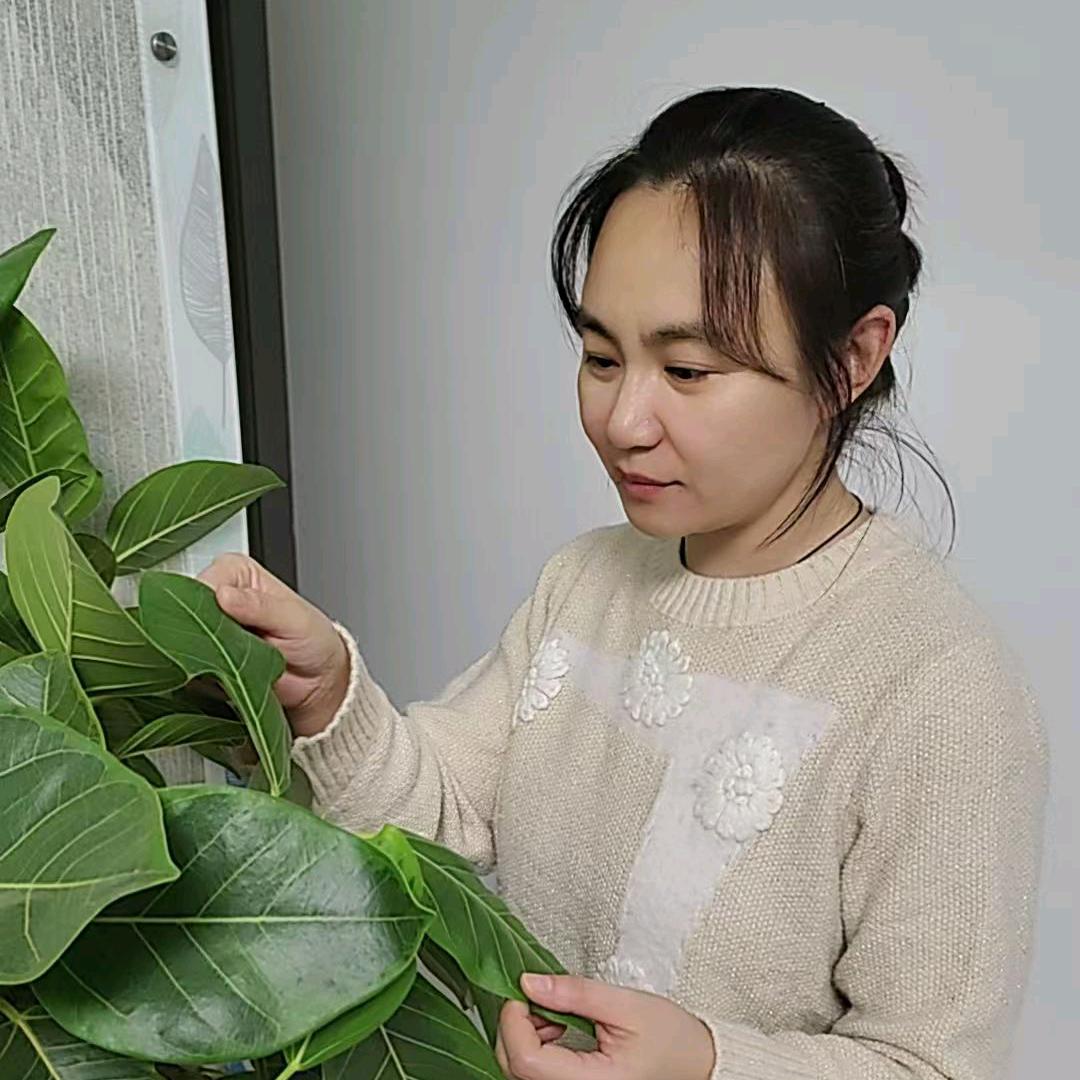包子姐姐(创业摆摊成长系)