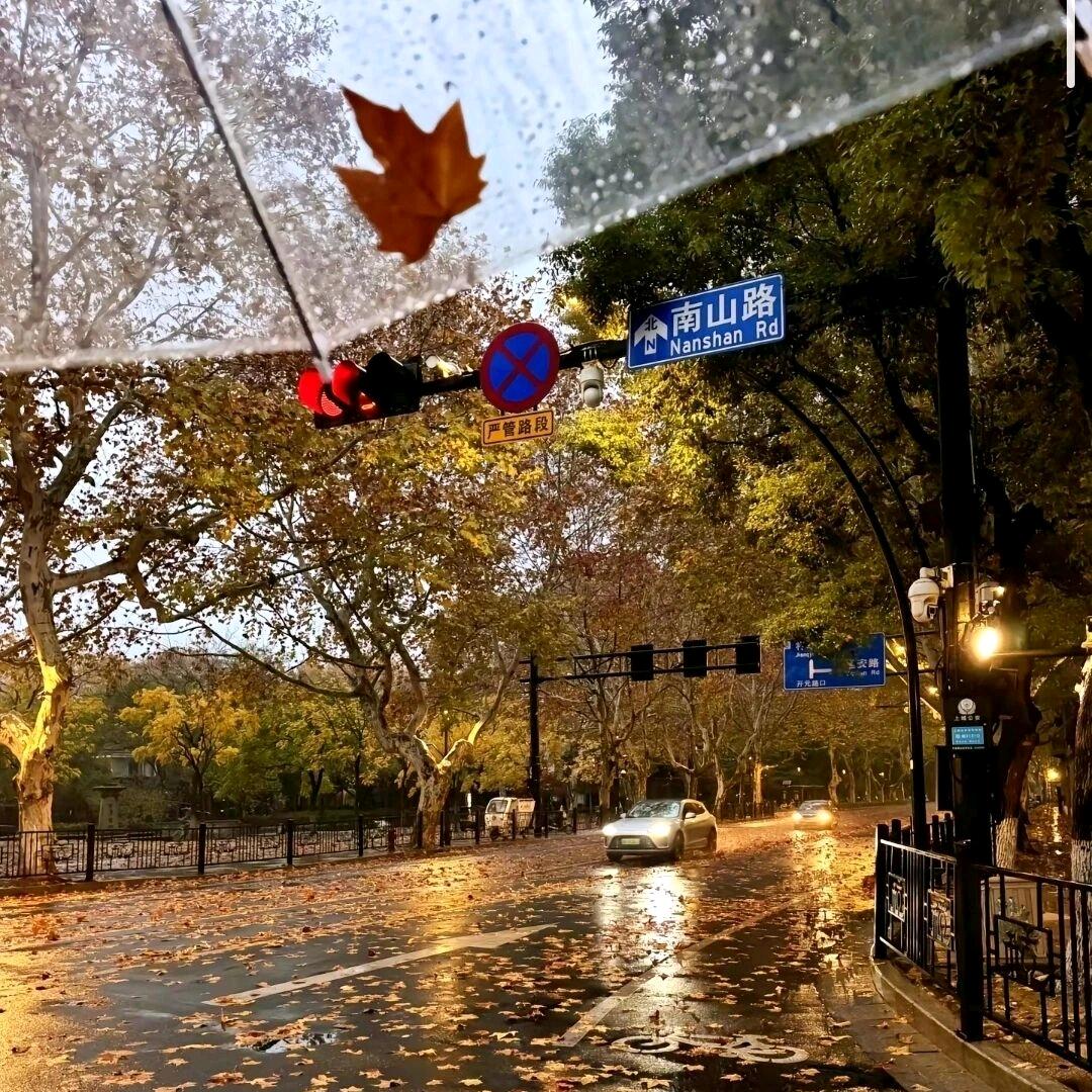 可是 针的步筷樂