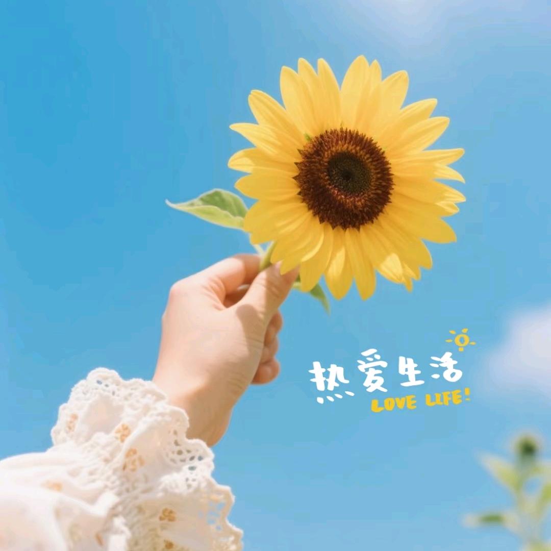 金泰麦地店