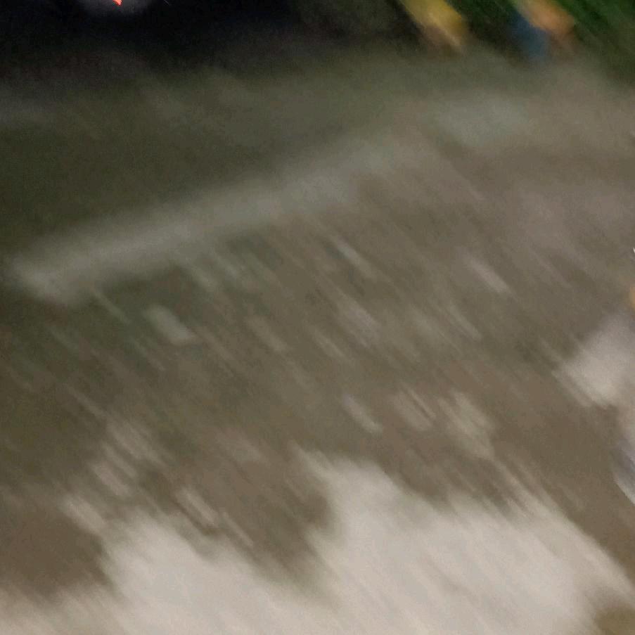 独宠你一人