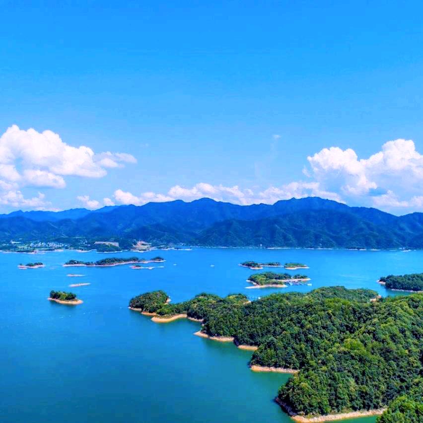 兰知春序