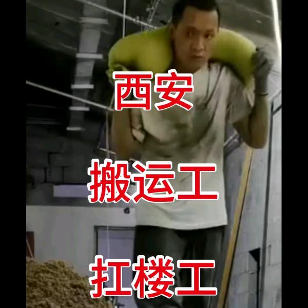 西安张师搬运团队