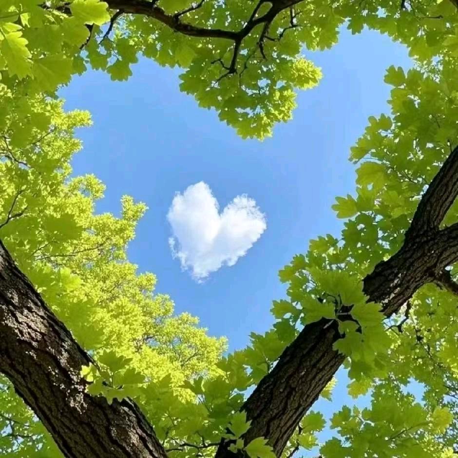 小龙皮具女包批发