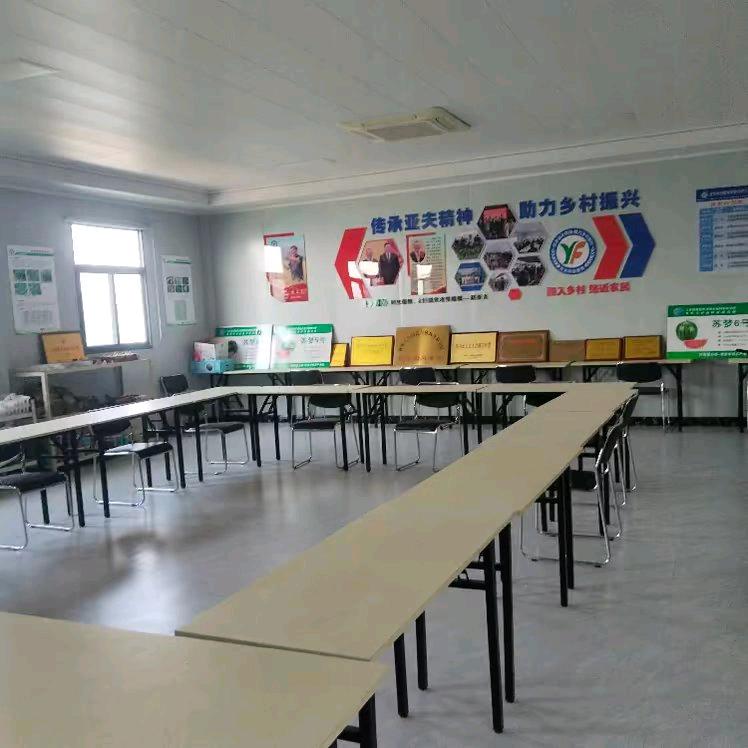 梦一样