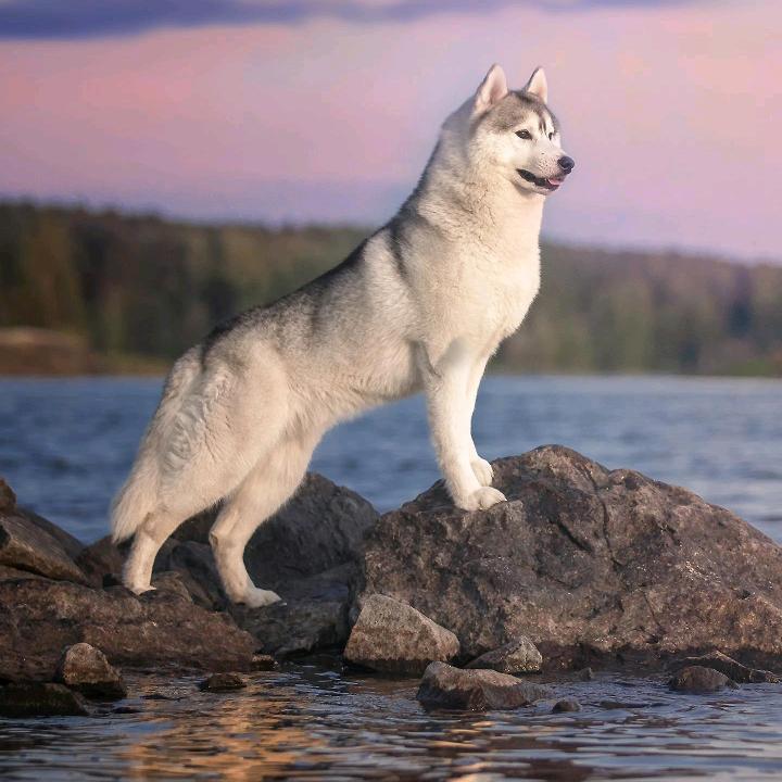 🌙你我皆为过客🌙