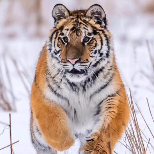 小明同学ヾ(@^▽^@)ノ