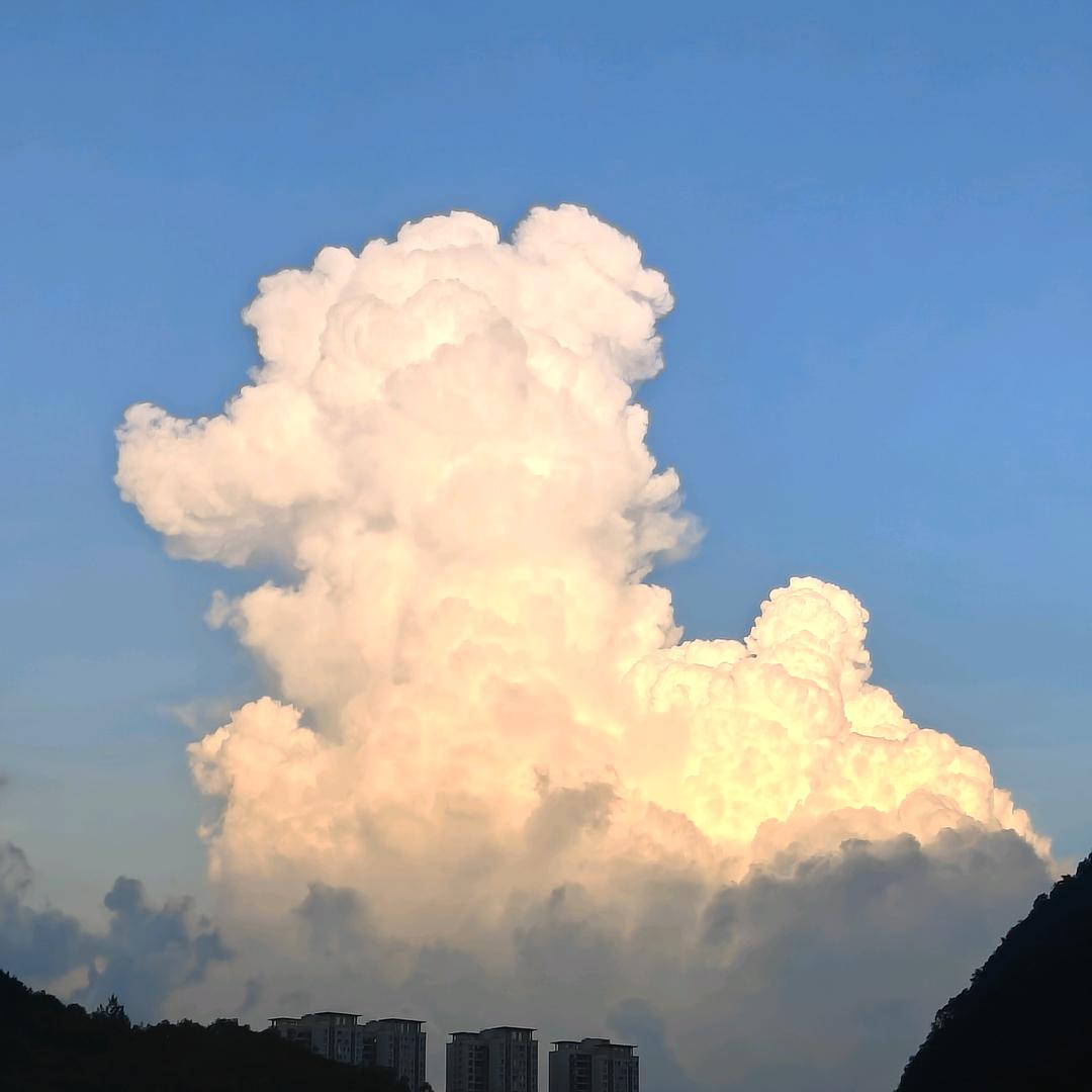書海
