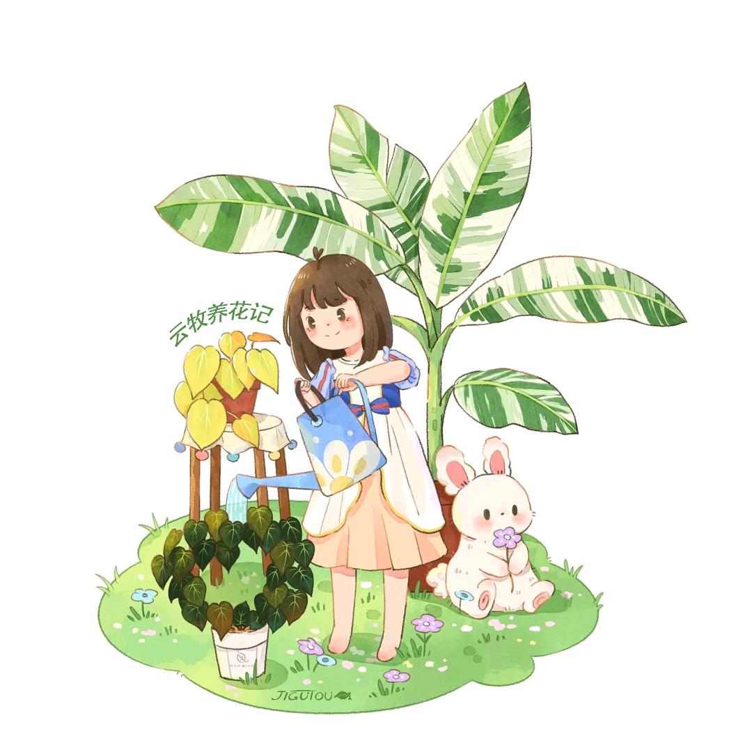 云牧养花记