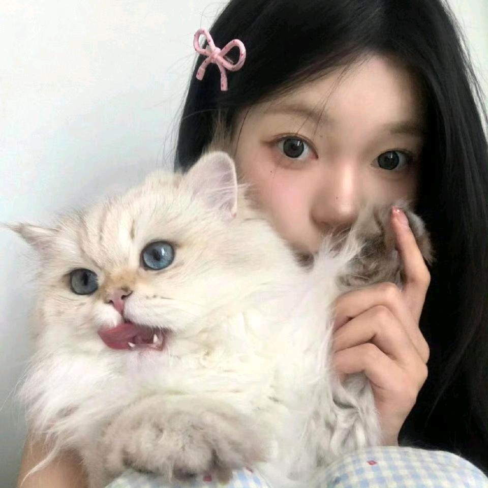 木榆.头像