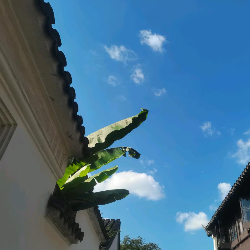🦹¹ᶟ₁₄王果小布丁🕊꧔ꦿ᭄💞