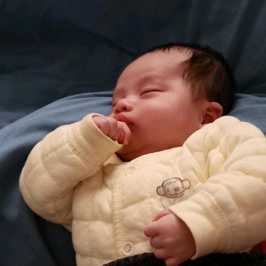 小橙子呀呀呀呀呀