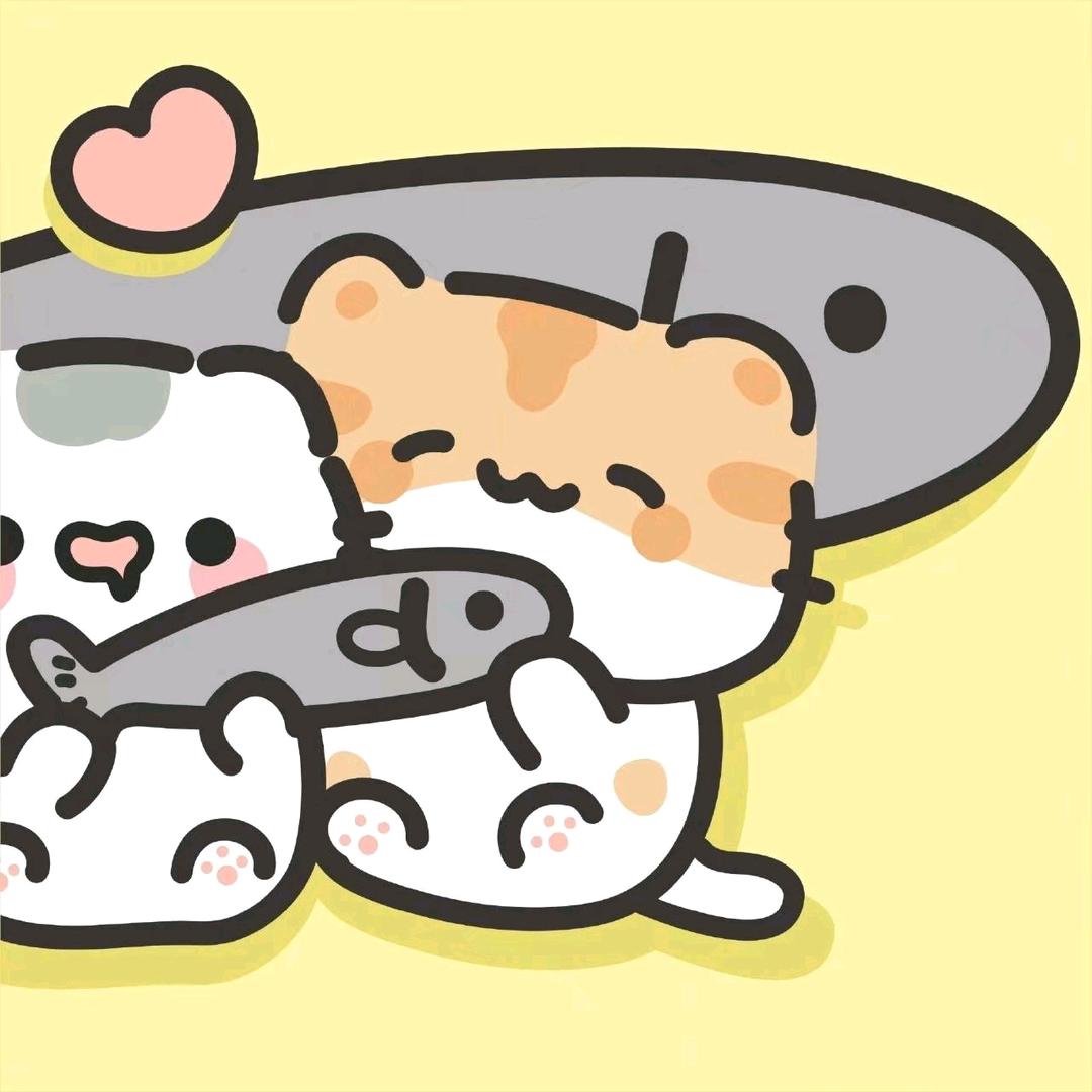 波纹