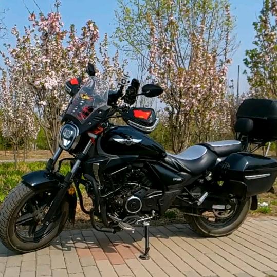 光辉岁月-独行侠