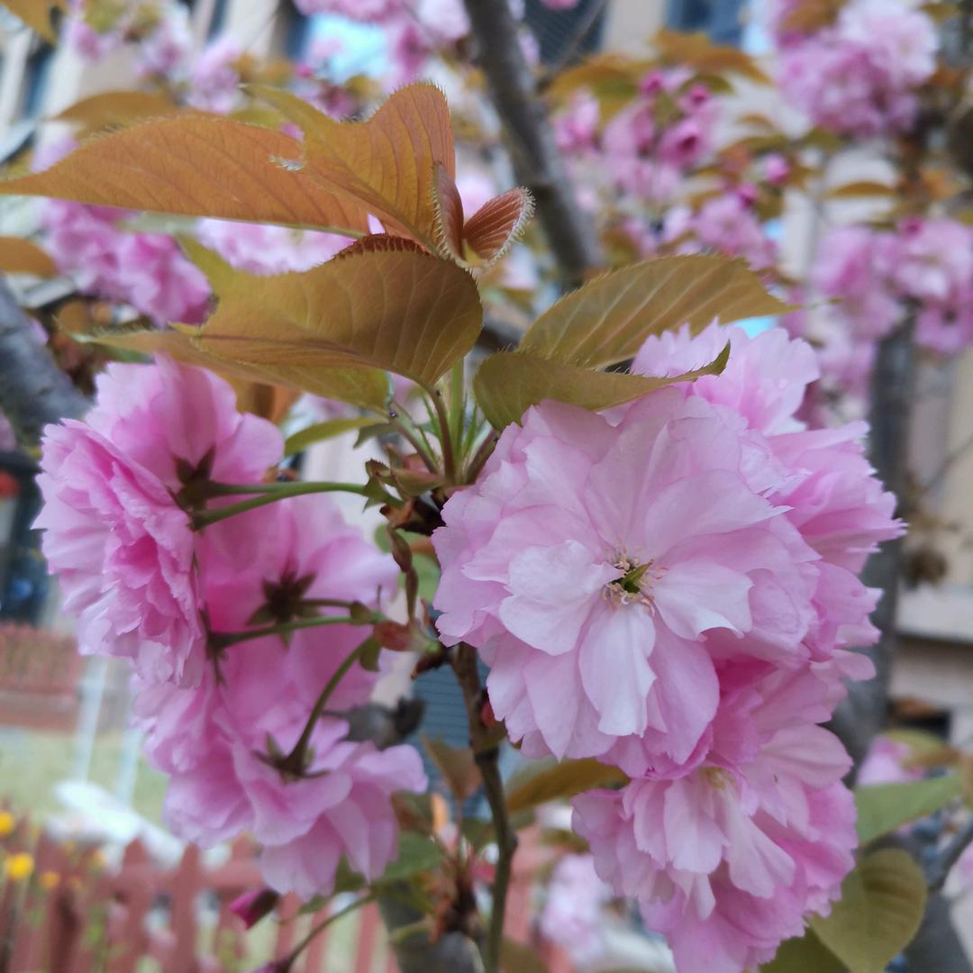 活出精彩的自己，爱